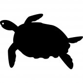 Autocolante ardósia tartaruga