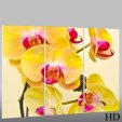 Quadro Triptico PVC orquídea