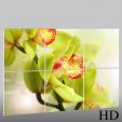 Quadro Triptico PVC orquídea
