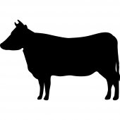 Autocolante ardósia vaca