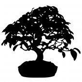 Autocolante decorativo Bonsai