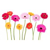 Autocolante decorativo flores