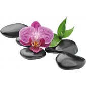 Autocolante decorativo seixos orquídea