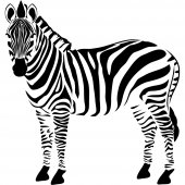 Autocolante decorativo zebra