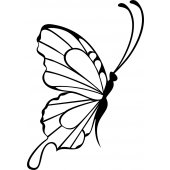 Autocolante ipad 2 borboleta