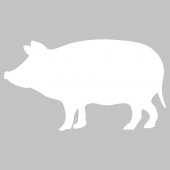 Autocolante velleda porco