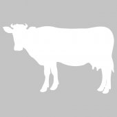 Autocolante velleda vaca