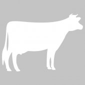 Autocolante velleda vaca
