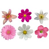 Kit Autocolante decorativo infantil 6 flores