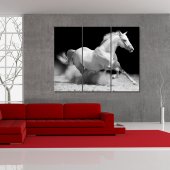 Quadro Triptico PVC cavalos