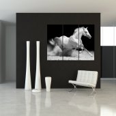 Quadro Triptico PVC cavalos