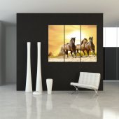 Quadro Triptico PVC cavalos