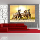 Quadro Triptico PVC cavalos