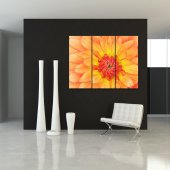 Quadro Triptico PVC flores