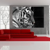 Quadro Triptico PVC Tigre