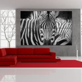 Quadro Triptico PVC zebra