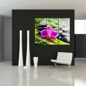 Quadro Triptico PVC Zen